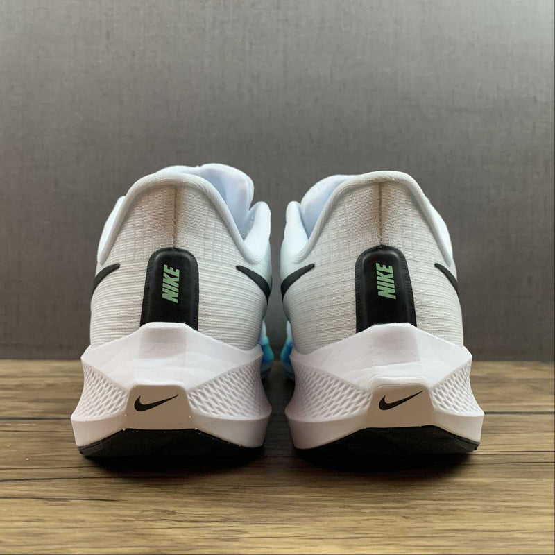 Nike Air Zoom Pegaso 39 