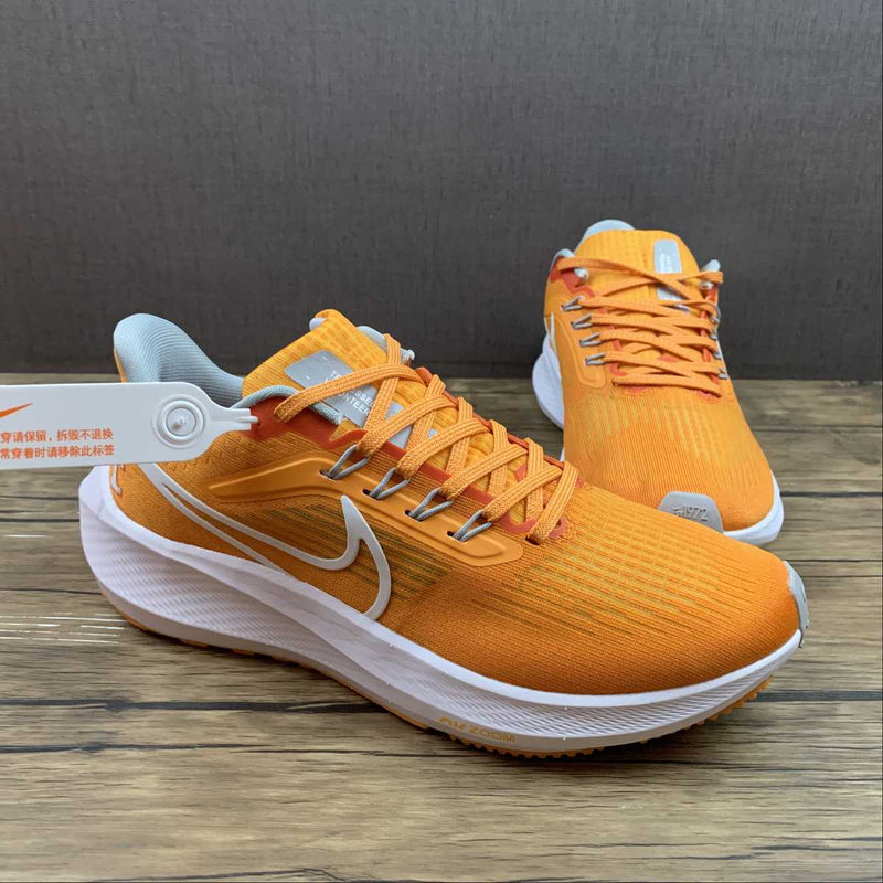 Nike Air Zoom Pegaso 39 