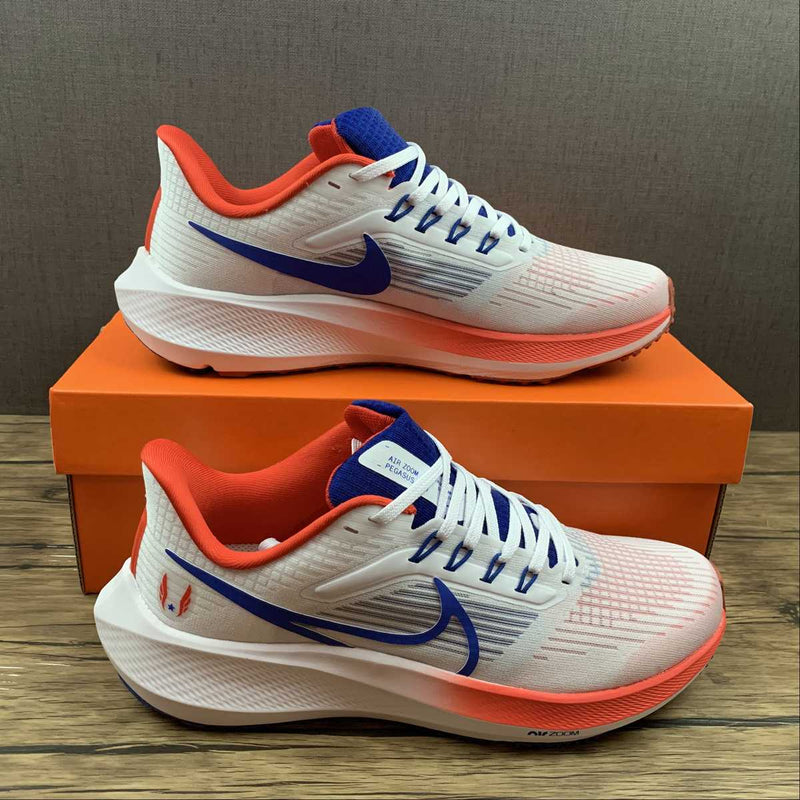 Nike Air Zoom Pegaso 39 