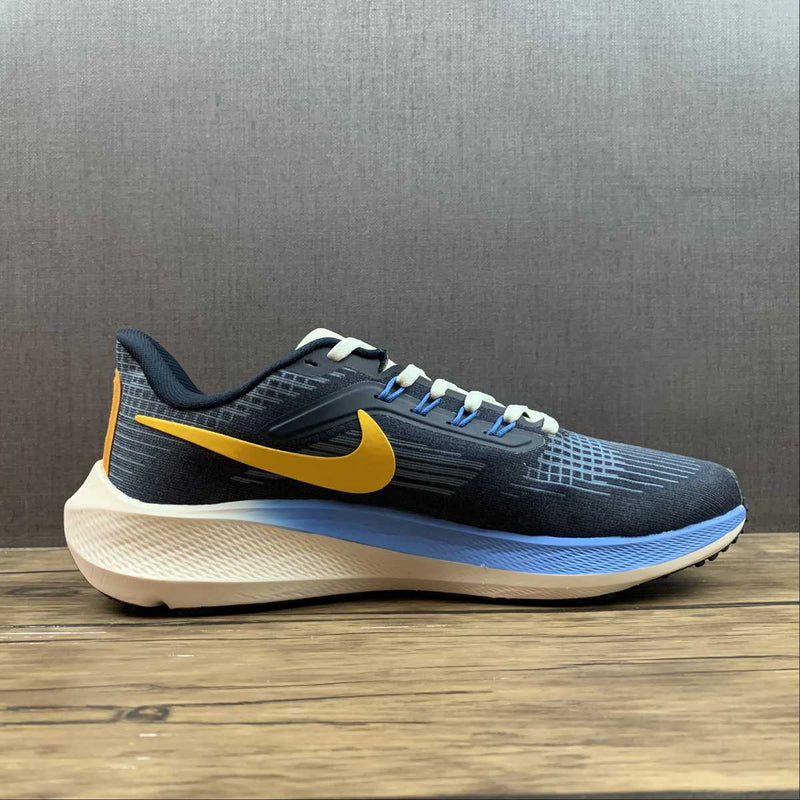 Nike Air Zoom Pegaso 39 